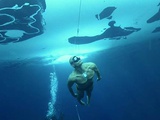 Le meilleur plongeur au monde : Stig Severinsen – Record du monde de la plus longue plongée en apnée sous glace