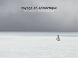 Livre : Voyage en Antarctique – Terre de feu – Shetland du sud (Samuel Blanc)