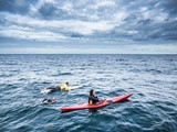 Projet Swin4Ocean – Julien Moreau a nagé de jersey à Saint-malo pour défendre les océans avec Sea Shepherd
