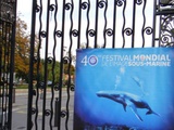 Retour sur les 4 jours du Festival Mondial de l’Image Sous-Marine de Marseille