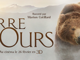 Terre des ours : un documentaire en 3D raconté par Marion Cotillard
