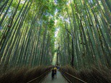 7 lieux à découvrir autour de Kyoto