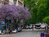 Buenos Aires en 11 souvenirs
