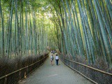 De la forêt de bambou à la montagne aux singes à Kyoto