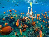 Faire de la plongée à Bali