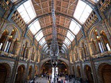 Le musée d’histoire naturelle de Londres