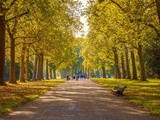 Londres en novembre