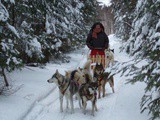Montagnes du Jura : aventures et chiens de traineau