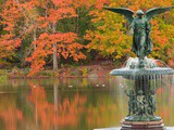 New York en octobre