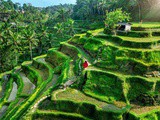 Que faire à Ubud