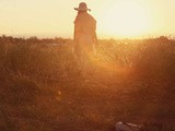 Rester vivant (et grande annonce !)