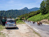 Roadtrip en Corse : Castagniccia, mer et montagne