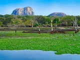 Sri Lanka en novembre