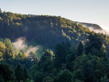 Un voyage grandeur Nature
