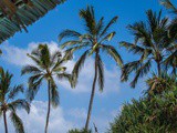 Zanzibar, l’Afrique au bord de l’Océan Indien