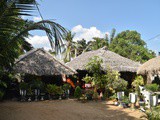 Sri Lanka en 2019-les parcs nationaux