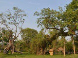 Vavoirayeur : Chine :le Xishuangbanna