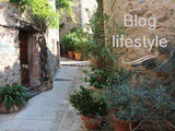 C'est quoi un blog lifestyle
