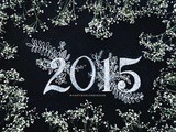 Il était une fois... 2015