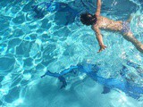 Le goût des vacances