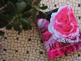 Le livre des Roses