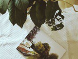 Mon livre photo des vacances