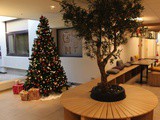 Un week-end au Novotel ouest Nancy
