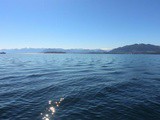 Température du lac de Genève : données, moyennes et mesures en 2026
