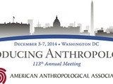 Annual Meeting of the American Anthropological Association: report