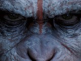 Hs anthropologique: Dawn of the planet of the Apes