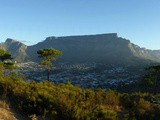 Du Cap à Port Elizabeth en famille – Afrique du Sud