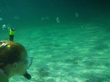 En Corse: Porto-Vecchio et Bastia en famille