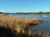 Le Parc de La Brenne en famille