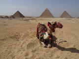 Que voir en Egypte avec des enfants