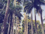 Rio de Janeiro en famille