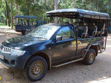 Top 5 des safaris en famille