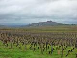 Un week-end dans les côteaux du Sancerre
