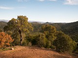 Une journée au Pays de Fayence pour les enfants