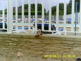 Vacances à Limeuil en Dordogne en famille