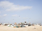 Au Portugal, rencontres à flanc de falaises avec les pêcheurs de l’Algarve