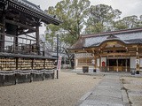 Iga, une jolie surprise de mon voyage au Japon