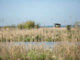 J’ai testé l’hôtel Ancre Marine & Spa Thalgo à Noirmoutier