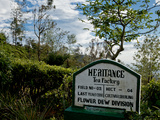 L’Heritance Tea factory, un hôtel insolite niché au coeur du royaume du thé