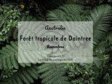 La forêt tropicale de Daintree, une histoire de rencontres