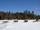 Le jour où j’ai fait du traineau à chiens au Québec