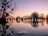 Le lac de Grand Lieu : une belle balade hivernale en Loire Atlantique