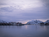 Norvège : safari polaire dans les Lofoten