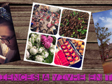 Que faire en Thaïlande ? 10 expériences à vivre lors de votre prochain voyage