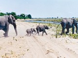 Retour en Afrique 13 ans après