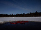 Top 10 des activités à faire en Laponie finlandaise en hiver
